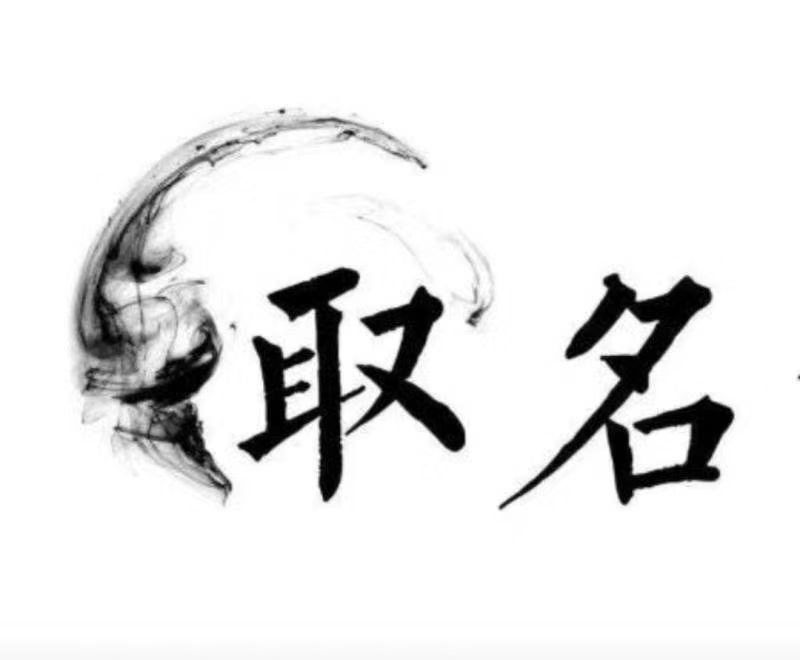  新县宝宝取名 大师一对一人工起名